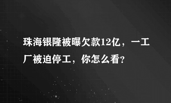 珠海银隆被曝欠款12亿，一工厂被迫停工，你怎么看？