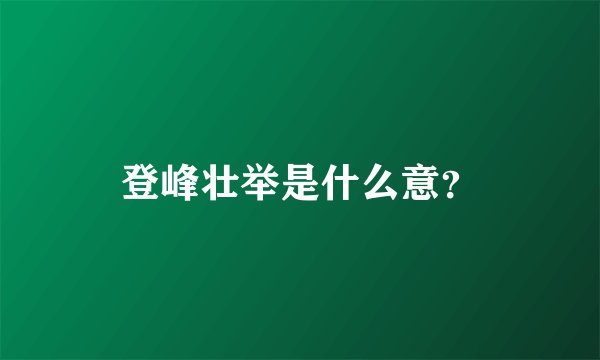 登峰壮举是什么意？