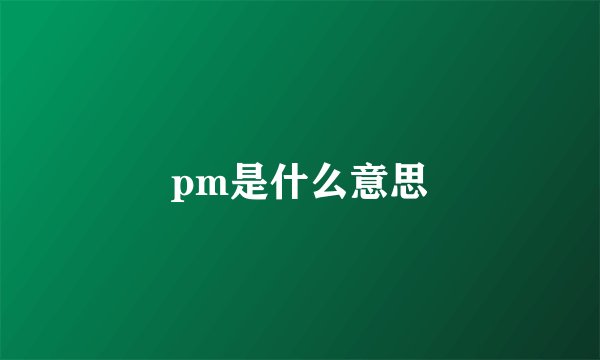 pm是什么意思