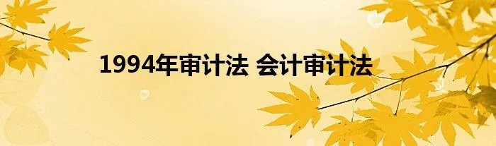 1994年审计法 会计审计法