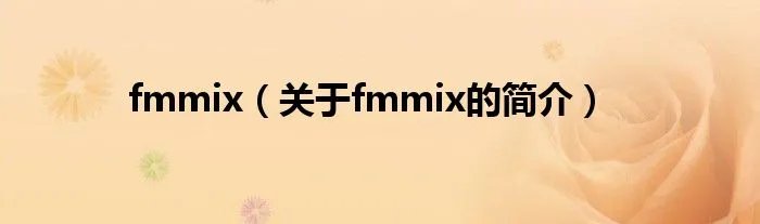fmmix（关于fmmix的简介）