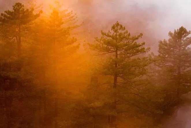 凉山州连发火灾是怎么回事 凉山州连发火灾是什么原因