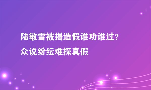陆敏雪被揭造假谁功谁过? 众说纷纭难探真假
