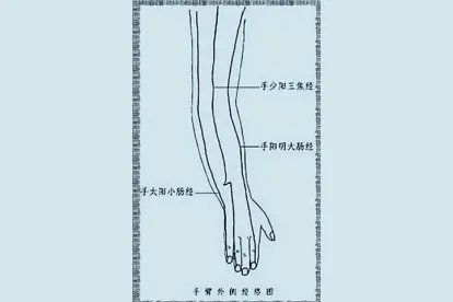 手背经络图