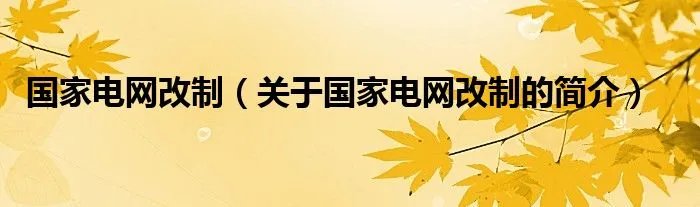 国家电网改制（关于国家电网改制的简介）
