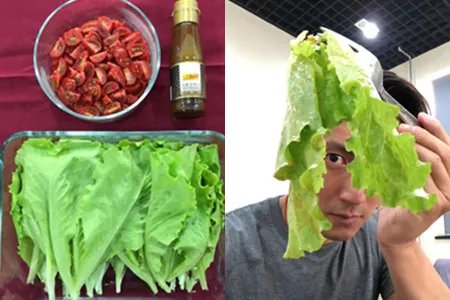 谢霆锋李健新歌声  开启自己种植新时代