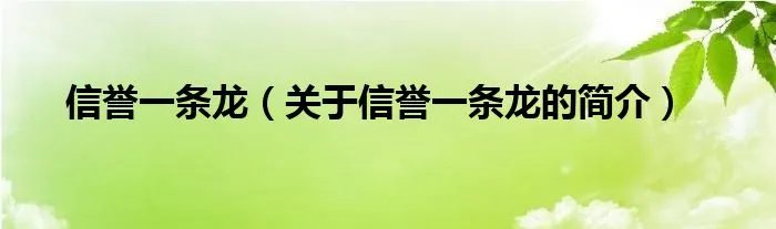 信誉一条龙（关于信誉一条龙的简介）
