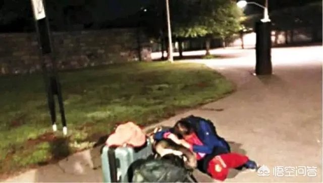 瑞典电视台回应怎么说