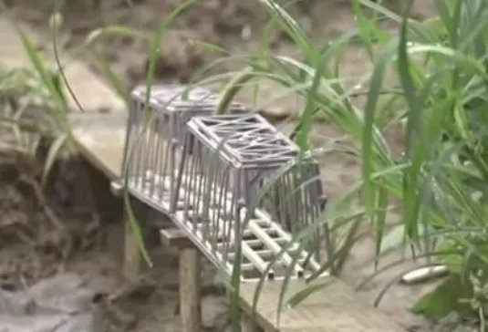 大学生在自家菜地里建微型高铁，期间他遇到过哪些困难？