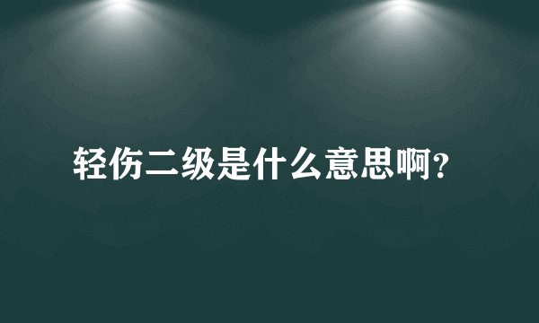 轻伤二级是什么意思啊？