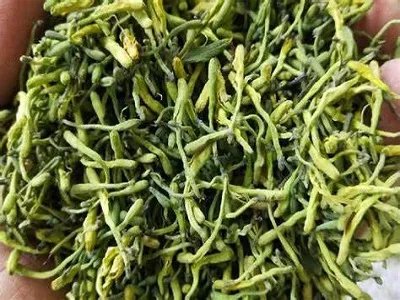 窗前江水泛春色(打一中草药名)