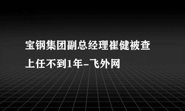 宝钢集团副总经理崔健被查 上任不到1年-飞外网