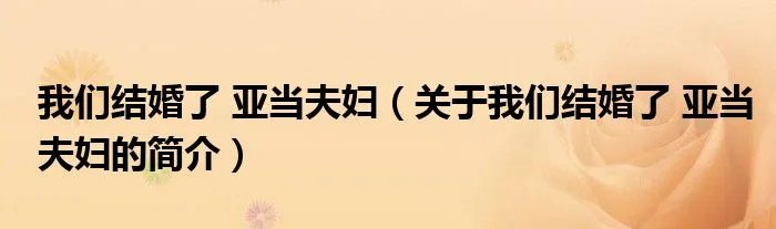 我们结婚了 亚当夫妇(关于我们结婚了 亚当夫妇的简介)