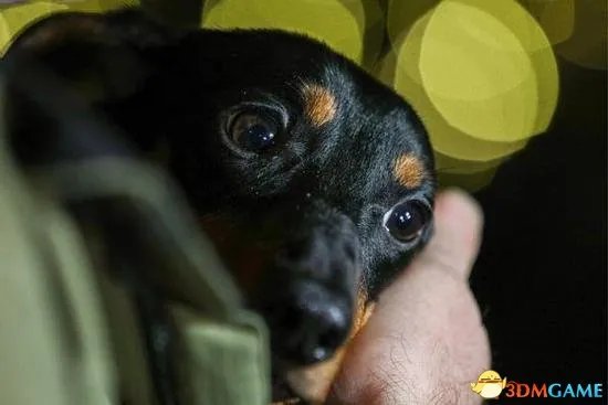 俄研发水下呼吸技术：使用特殊液体填充肺部潜水