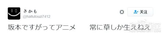 《我叫坂本我最屌》为什么这么火?日本网友推特曝真相