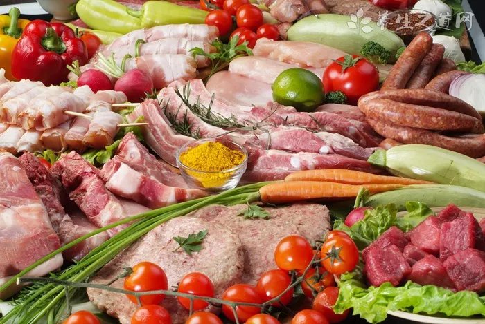 博美犬常见口腔和牙齿疾病