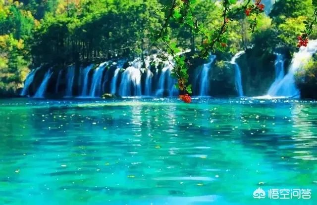 张一山会有夏雨的成就吗？