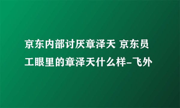 京东内部讨厌章泽天 京东员工眼里的章泽天什么样-飞外