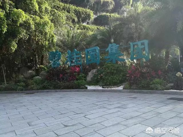 碧桂园有9000亿负债难道一点都不慌吗，你如何看？