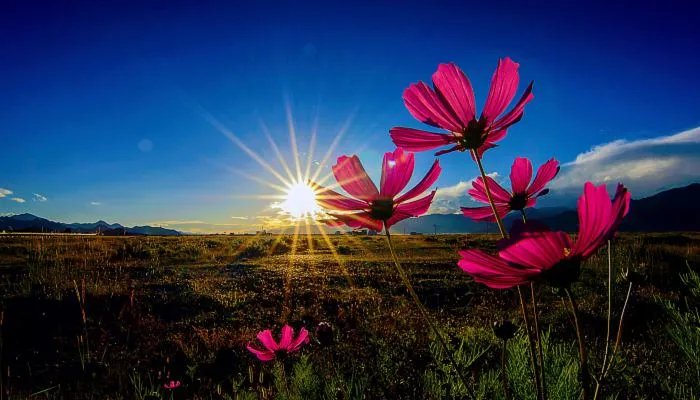 最新网络游戏名字 好听的网络游戏名字大全