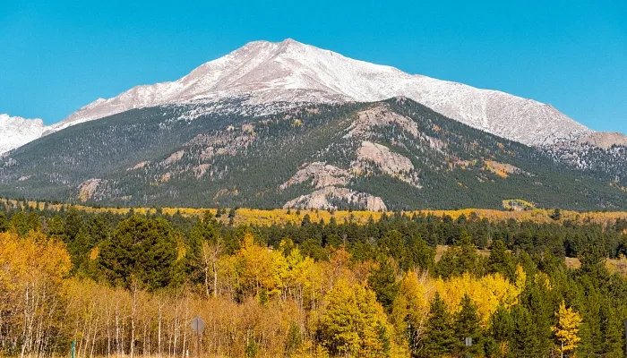 2022年高速路免费时间规定 2022年高速路免费时间段