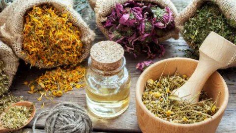 元胡的功效与作用