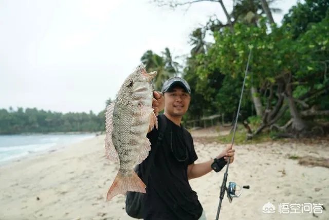 除了《游钓中国》，你还喜欢什么钓鱼类视频？