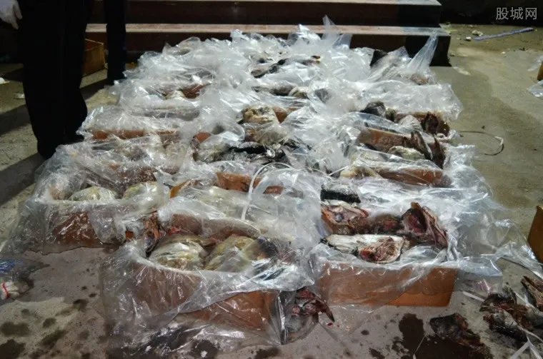 湖南破获穿山甲案 非法贩卖穿山甲牟利上1800万元