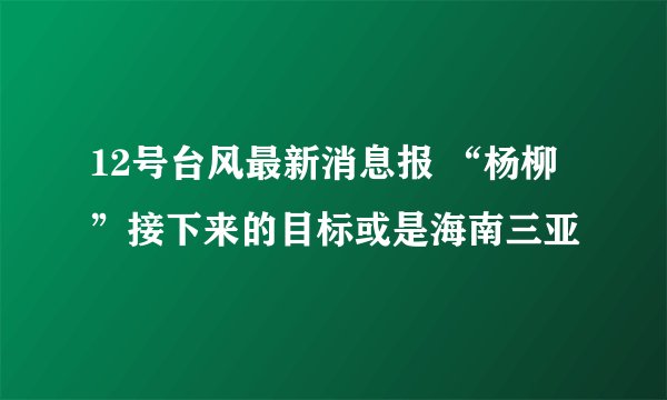 12号台风最新消息报 “杨柳”接下来的目标或是海南三亚