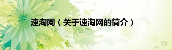 速淘网（关于速淘网的简介）