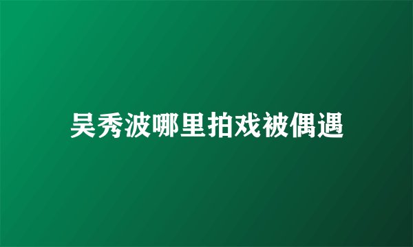 吴秀波哪里拍戏被偶遇