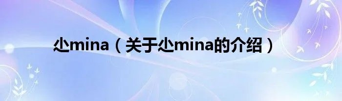 尐mina（关于尐mina的介绍）