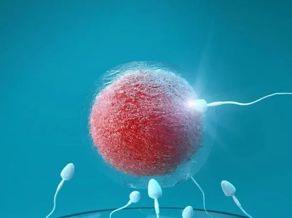 中国单身女性冻卵第一案再开庭，单身冻卵是否也算是支持三孩政策？