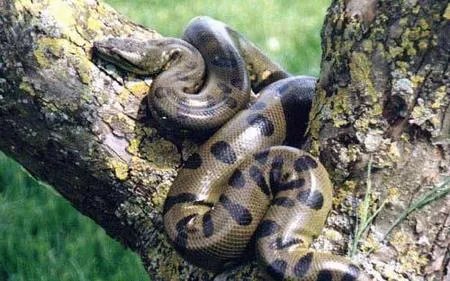 农村劳动竟发生怪事 想起都后怕!（组图）