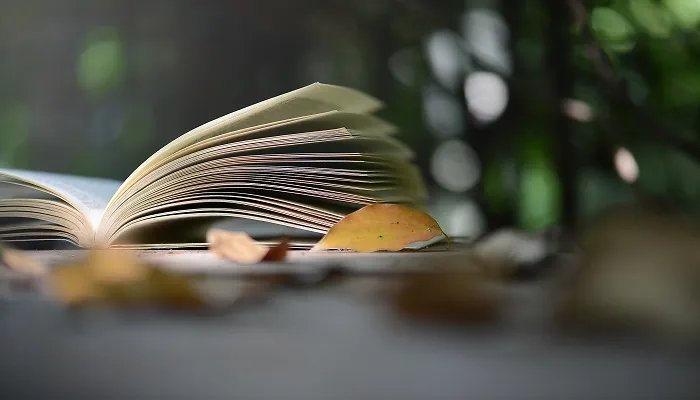 所爱隔山海出自哪首诗 所爱隔山海完整的诗