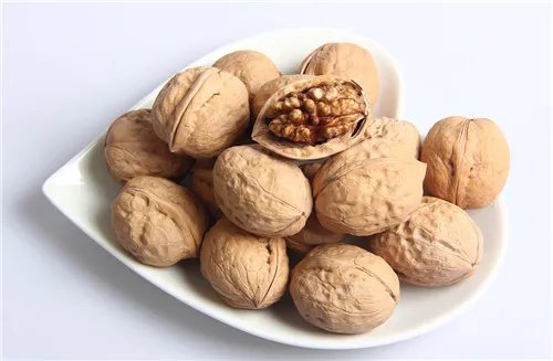 山核桃图片和介绍 山核桃有哪些功效