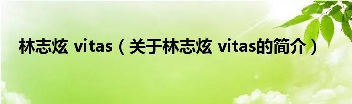 林志炫 vitas（关于林志炫 vitas的简介）