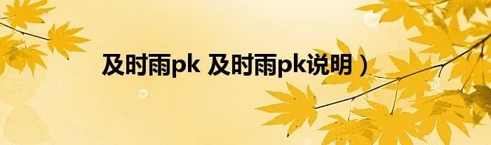 及时雨pk 及时雨pk说明）