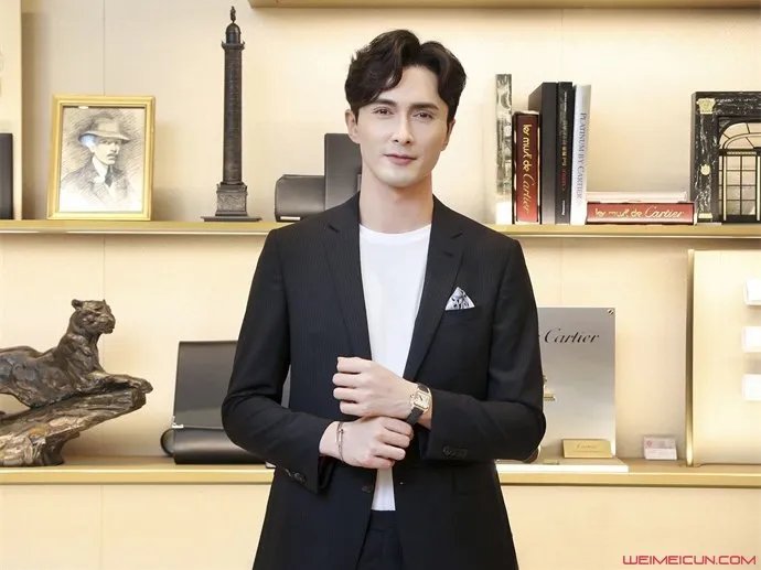 高伟光结婚了吗有妻子吗 老婆是杨吟吟的说法真假