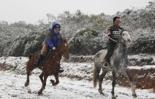 雪天骑马撞人逃逸将受到什么处罚？