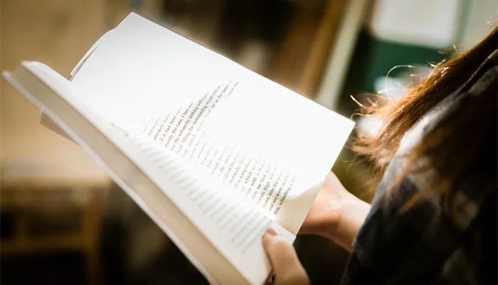 write是什么意思  write是指什么意思