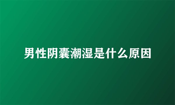 男性阴囊潮湿是什么原因