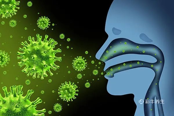 热咳和寒咳的区别晚上