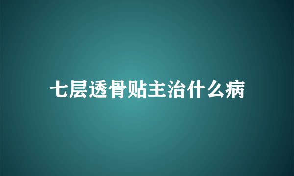 七层透骨贴主治什么病