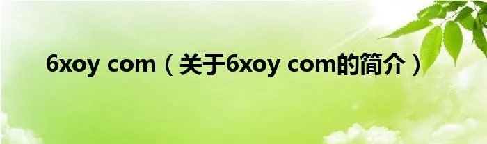 6xoy com（关于6xoy com的简介）