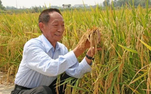 袁隆平直播上热搜，你怎么看待这一事件？