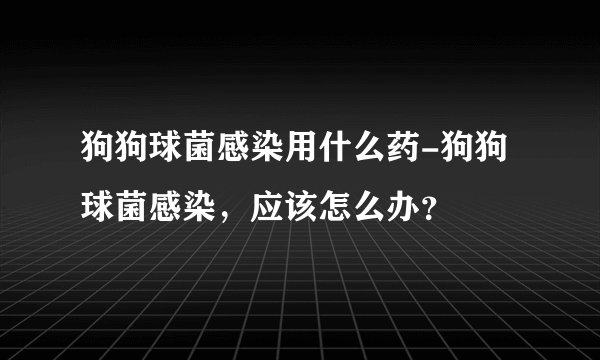 狗狗球菌感染用什么药-狗狗球菌感染，应该怎么办？