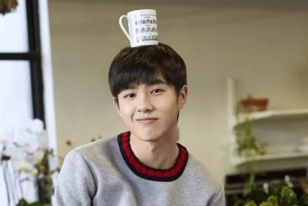 刘昊然晒乐高,为何能引起网友的广泛关注?