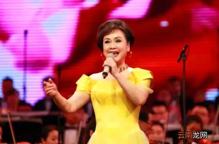 和付笛生共患难的韦唯 韦唯的跨国婚姻