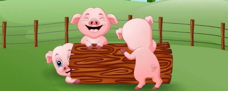 95年属什么生肖 95年属什么今年多大